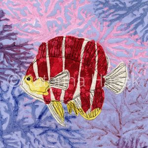 Peppermint Angelfish